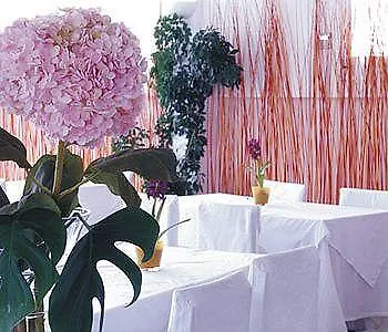 Paradise Art 4*