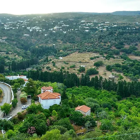 Paradise Art Hotel Andros Town