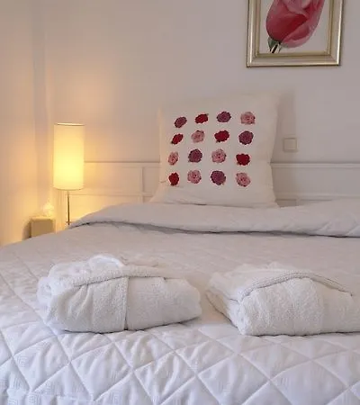 天堂艺术酒店 4* Ándros