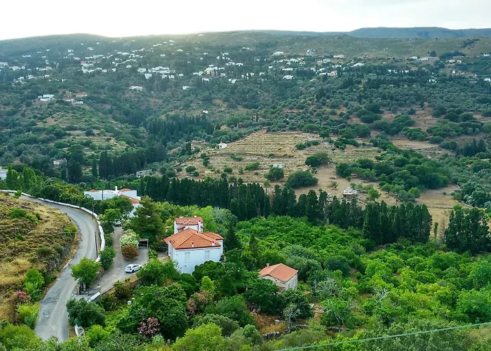 Paradise Art Hotel Ándros